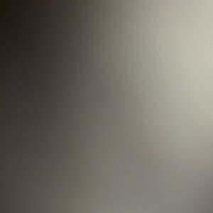 Meet your Posher, Frank